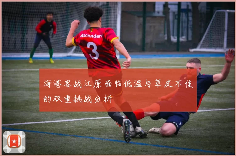 海港客战江原面临低温与草皮不佳的双重挑战分析